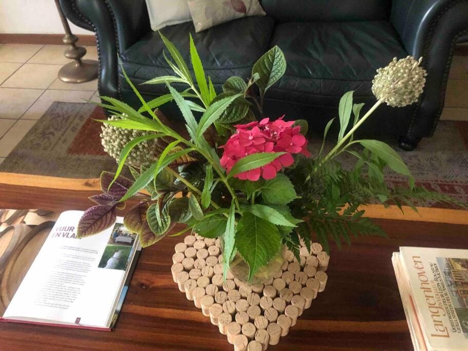 Winecellar Cave, on wine farm & where lions roar! House in Stellenbosch