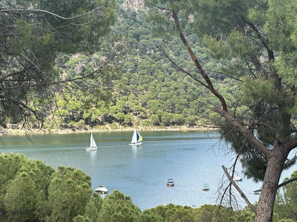 Lake view