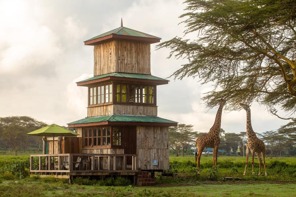 The Watch Tower 360 Safari Views & Stargazing Farm Stay in Kenya