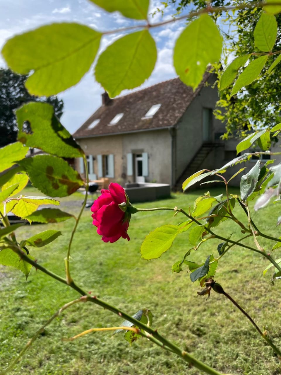 Gite de Fleur - Chateau du Grand Luçay House in Auvergne-Rhône-Alpes