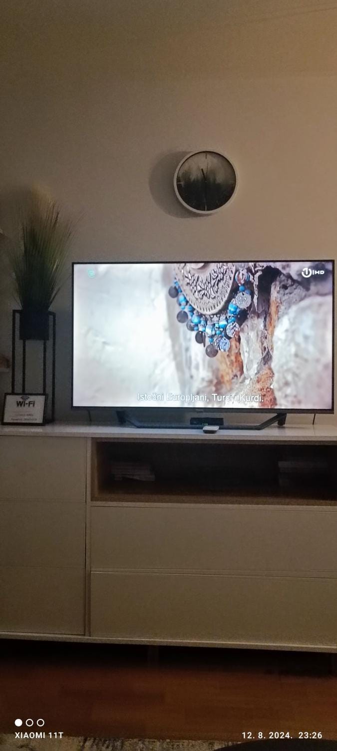 TV and multimedia