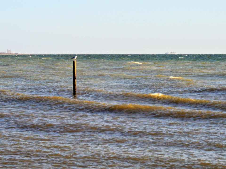 Lake view
