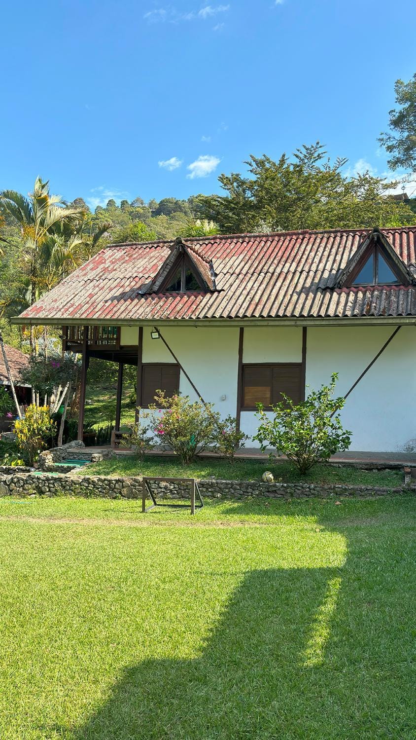 Property building, Garden, Garden view