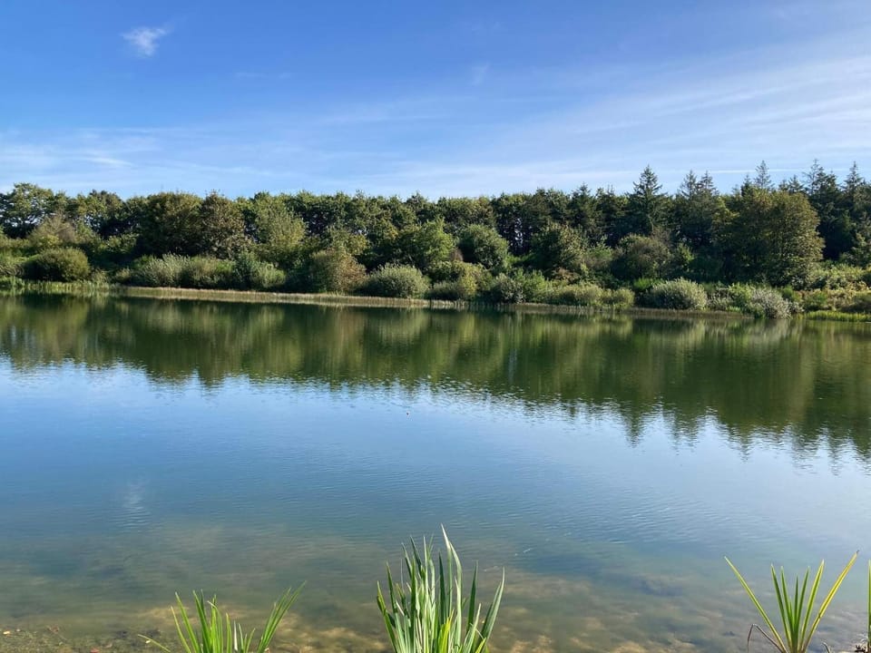 Lake view