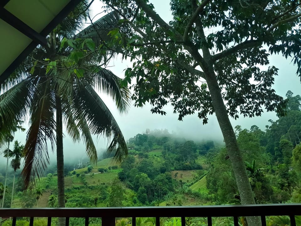 View (from property/room)