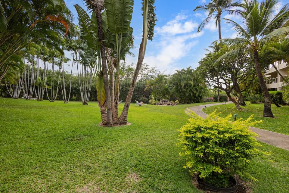 MBP106 Maui Banyan 1-Bed 2-Bath Suite with AC House in Wailea