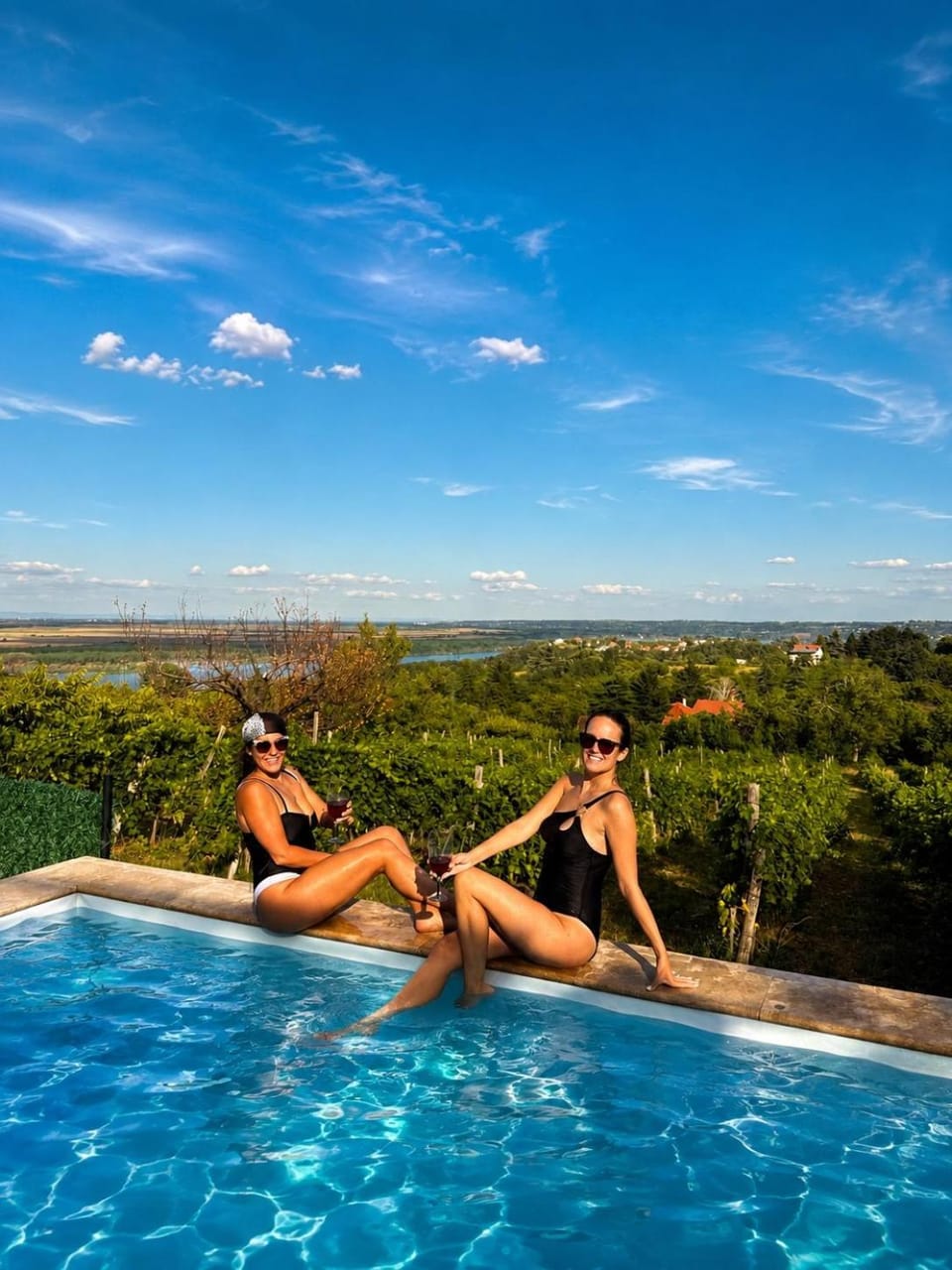 Vila Vista Verde Villa in Serbia