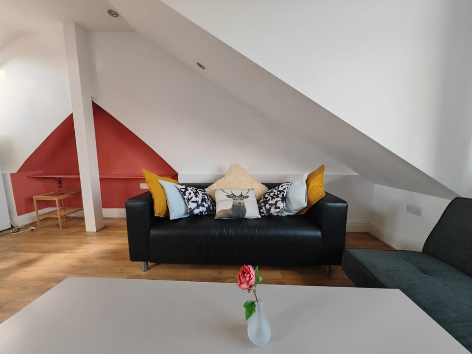 Spacious 3 bedroom in London Apartment in London Borough of Camden