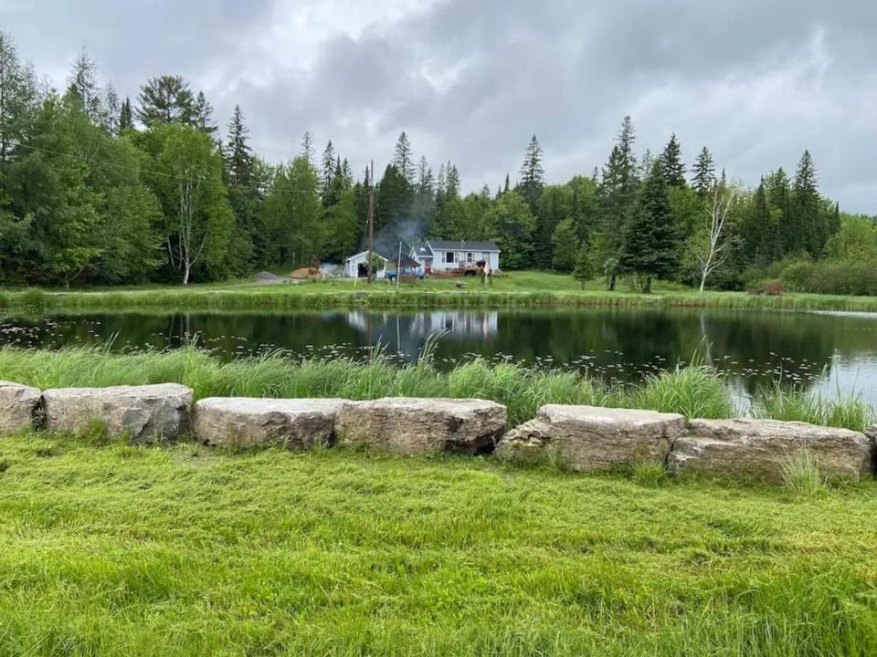 Property building, Spring, Natural landscape, Garden view, Lake view