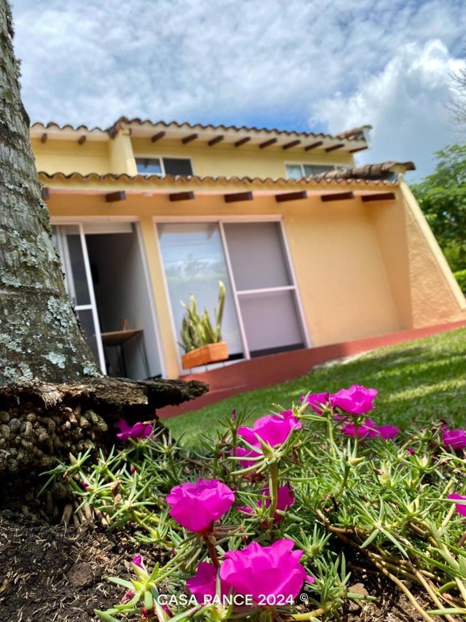 Property building, Day, Garden view