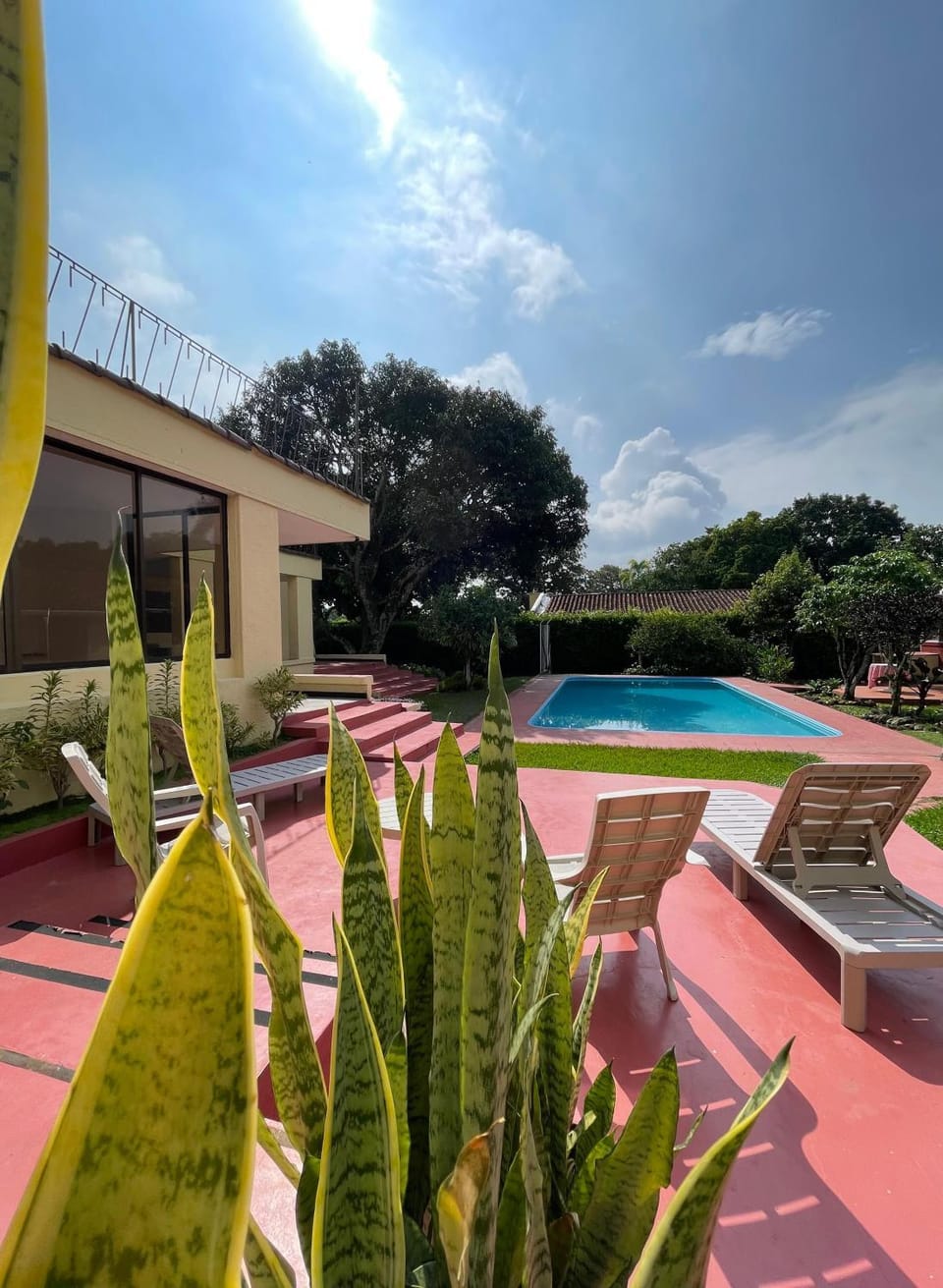 Patio, Day, Garden, Garden view, Pool view, Swimming pool