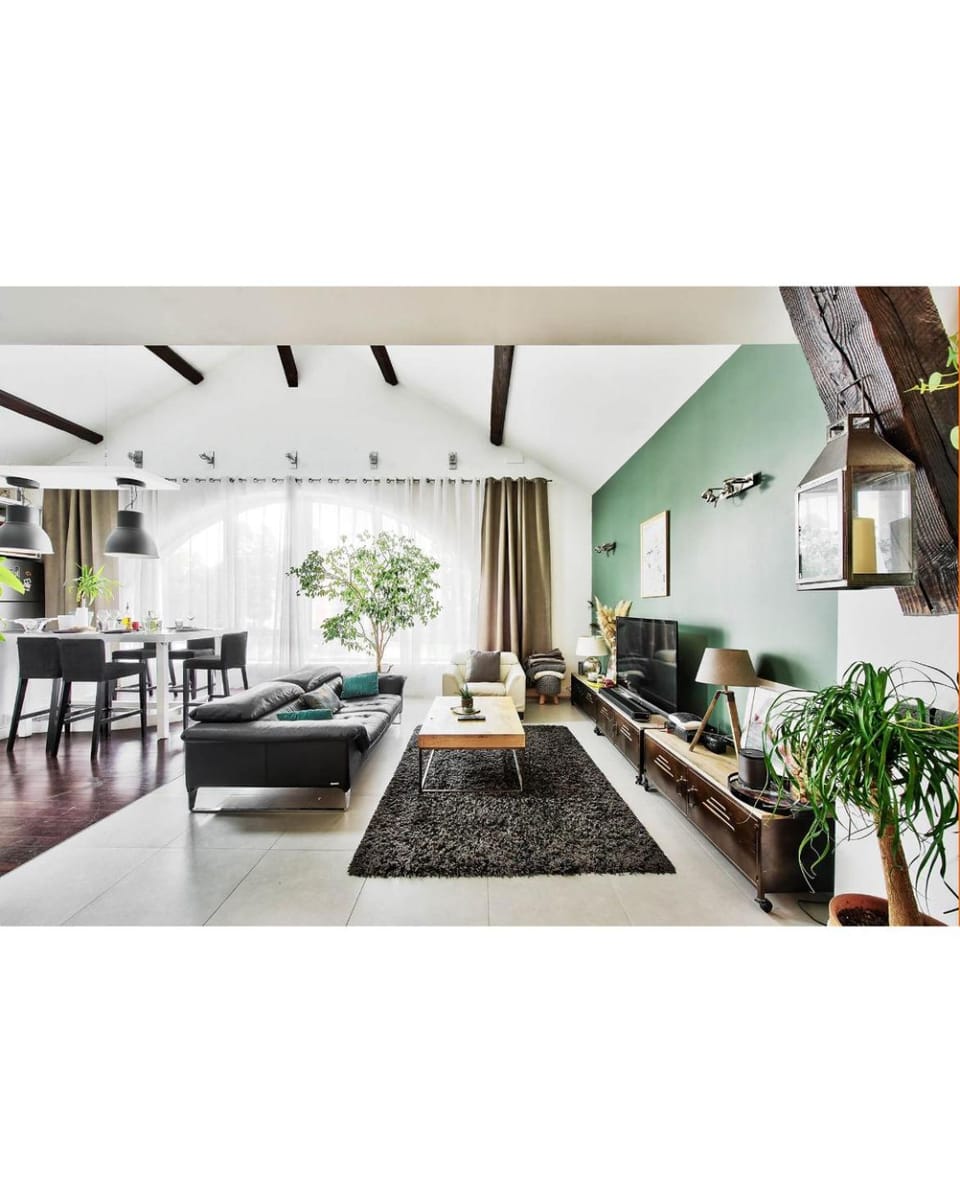 Charming loft in Lyon Ecully Apartment in Lyon