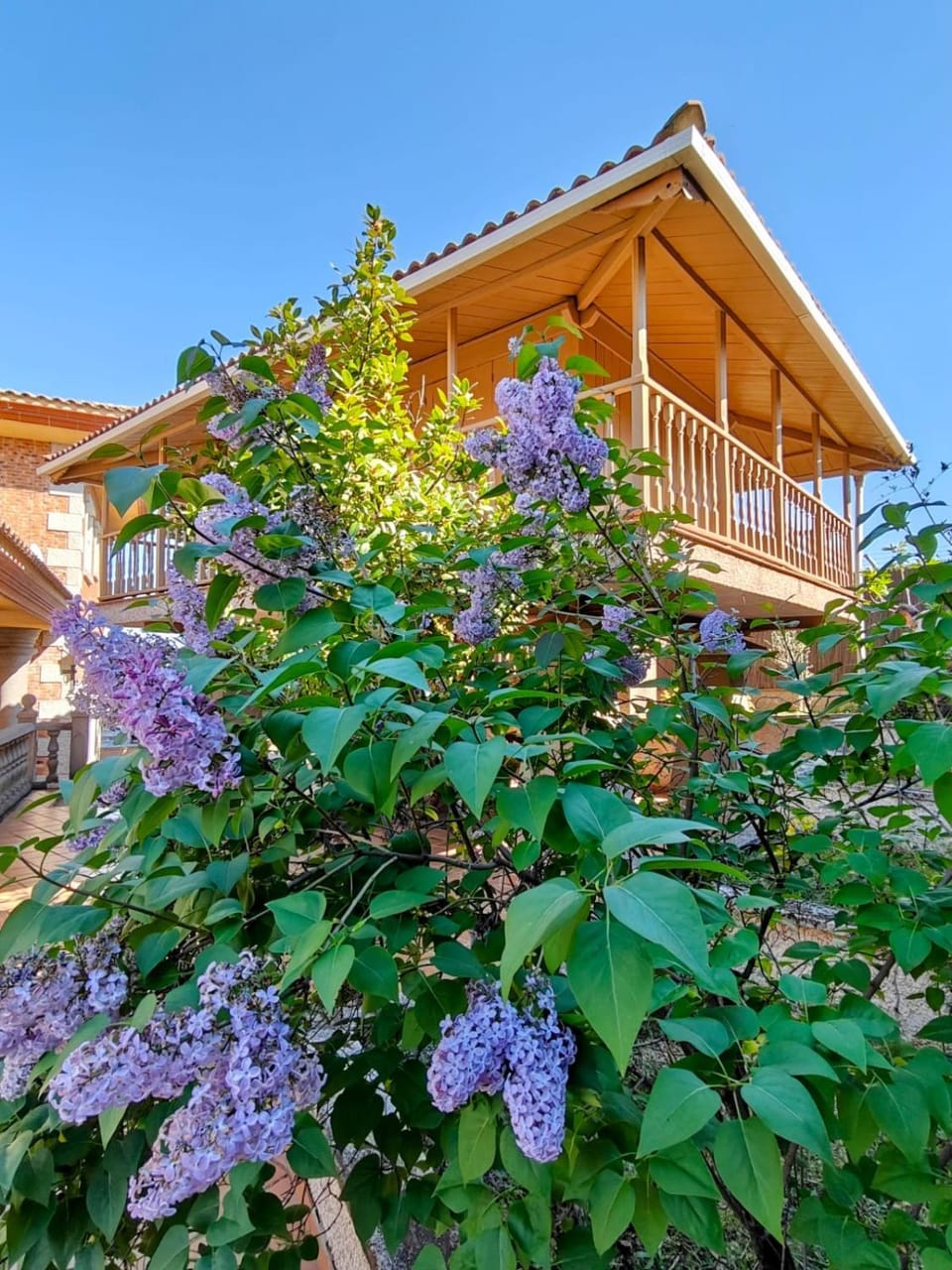 Property building, Garden