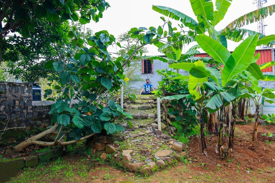 Natural landscape, Garden, Garden view