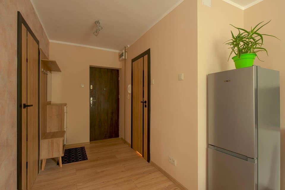 Kitchen or kitchenette, oven, wardrobe