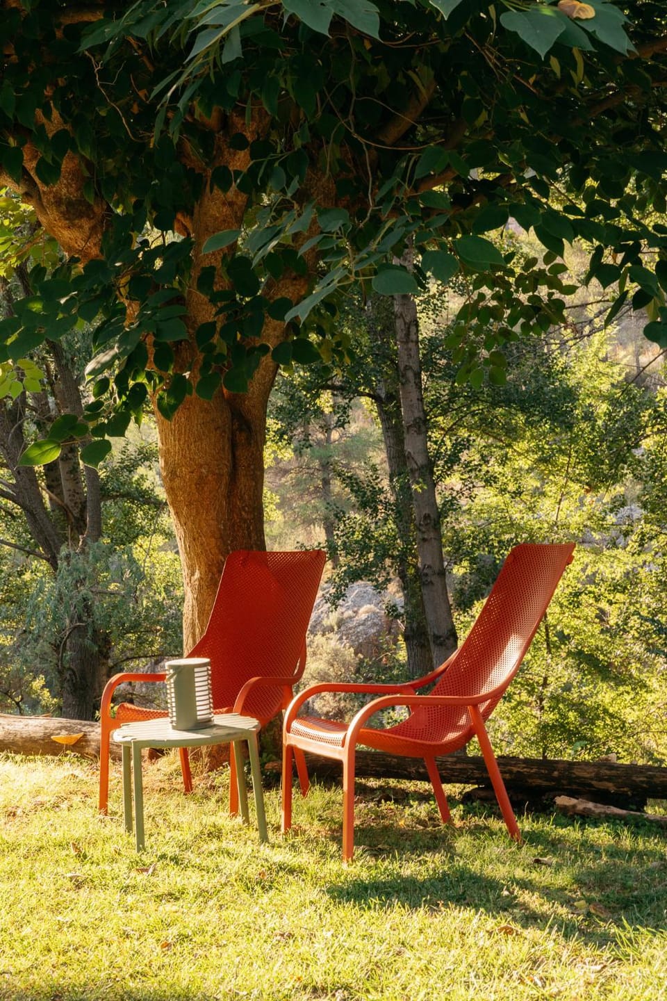 Natural landscape, Garden view