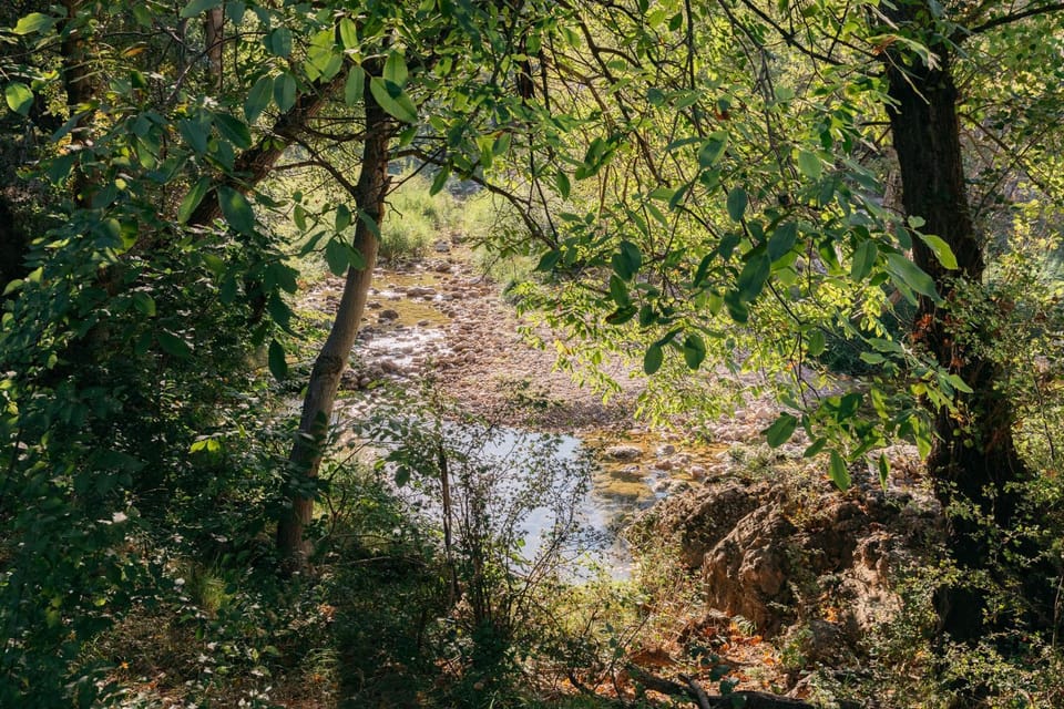River view