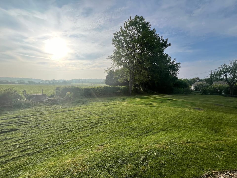 Garden, View (from property/room), Garden view