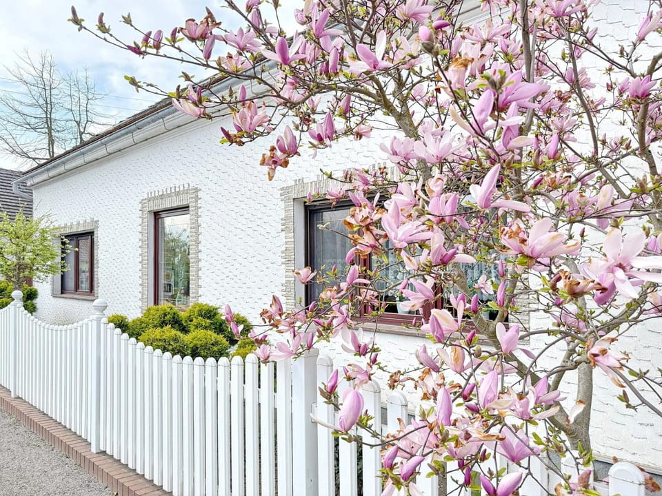 Sonnenring mini Apartment in Lübbenau