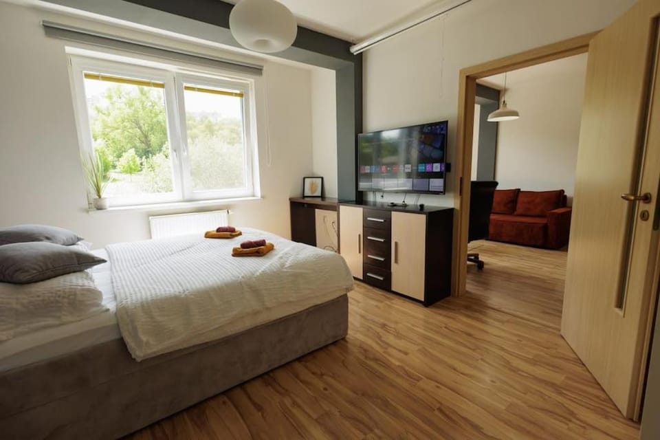 TV and multimedia, Photo of the whole room, Bedroom, towels