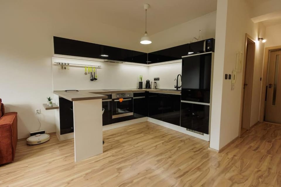 Kitchen or kitchenette, dishwasher, oven, stove