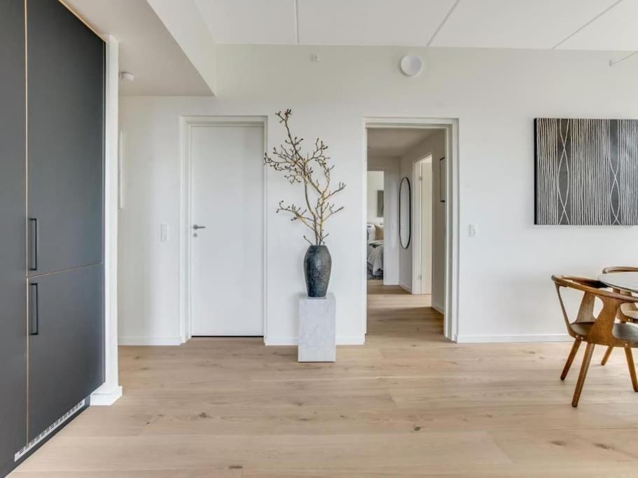 Luxury Living in Copenhagen Prime Spot Apartment in Copenhagen