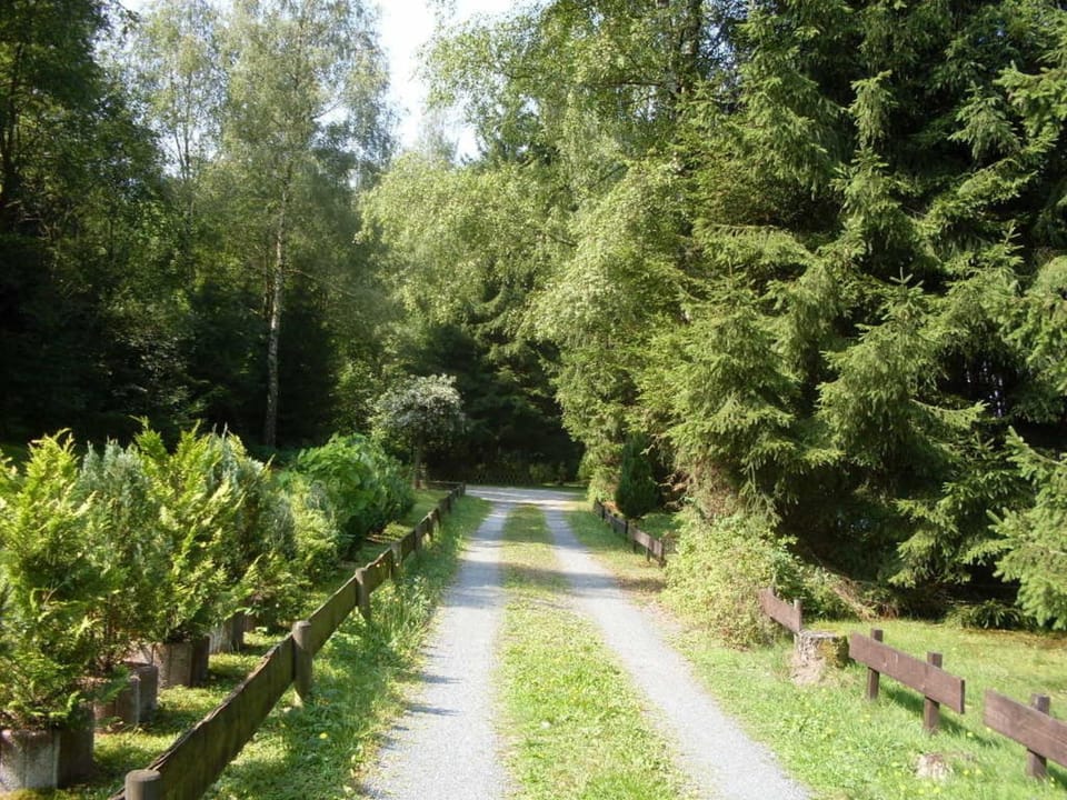 Ferienhäuser Am Waldschlößchen 1 House in Lower Saxony, Germany