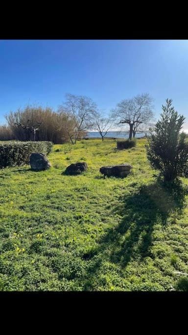 Natural landscape, Garden, Garden