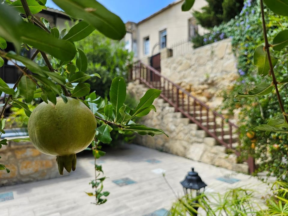 Day, Garden, Garden view