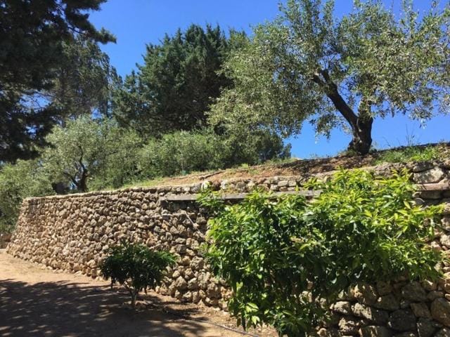 Logement Provence dans domaine oléicole Bed and Breakfast in French Riviera