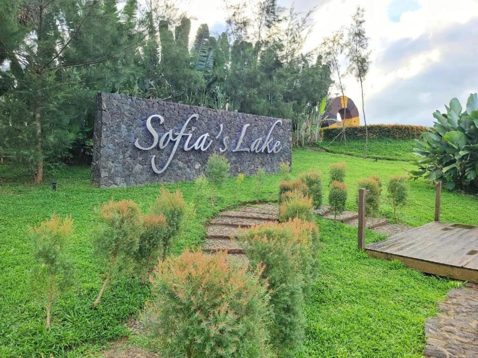 Property building, Garden view