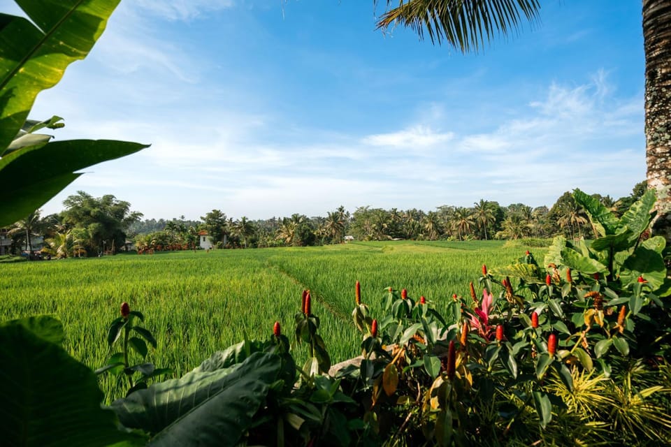 Natural landscape