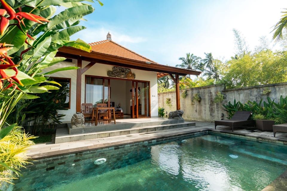 Property building, Pool view, Swimming pool, sunbed