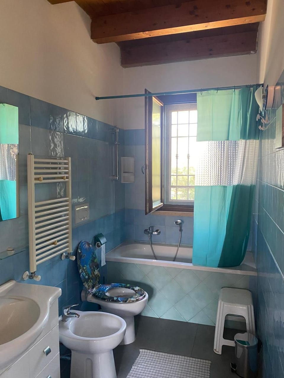 Shower, Toilet, Bathroom, Bath