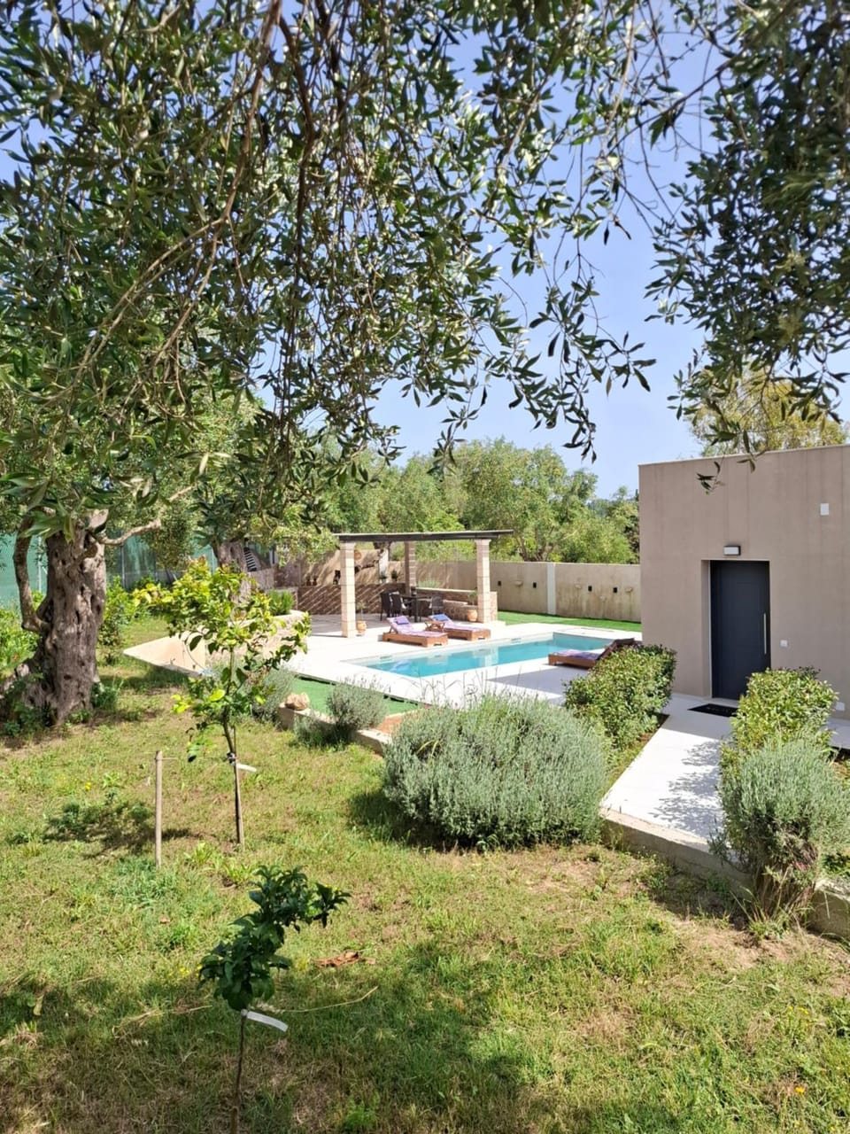 Property building, Spring, Day, Natural landscape, Garden, Garden view, Pool view, Swimming pool