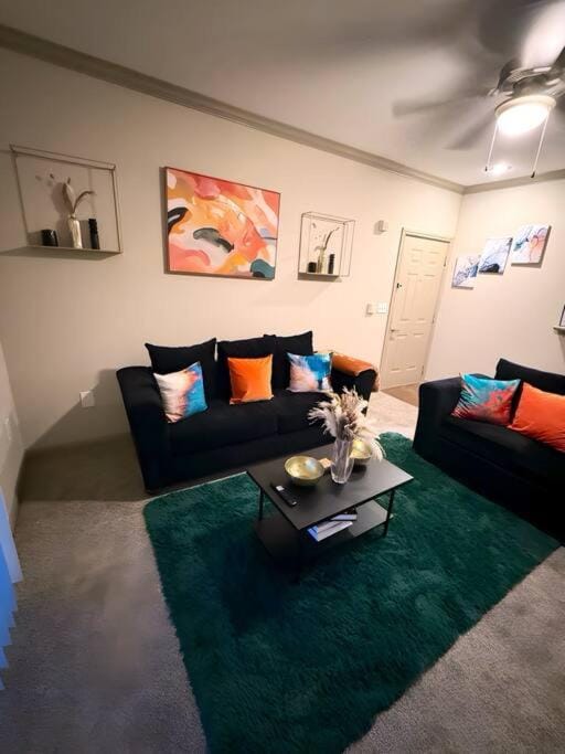 Vibrant Oasis in the Heart of Midtown & Downtown Apartment in Houston