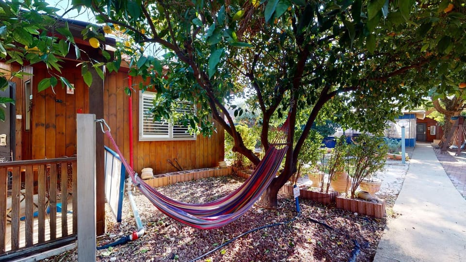 Property building, Patio, Day, Garden view