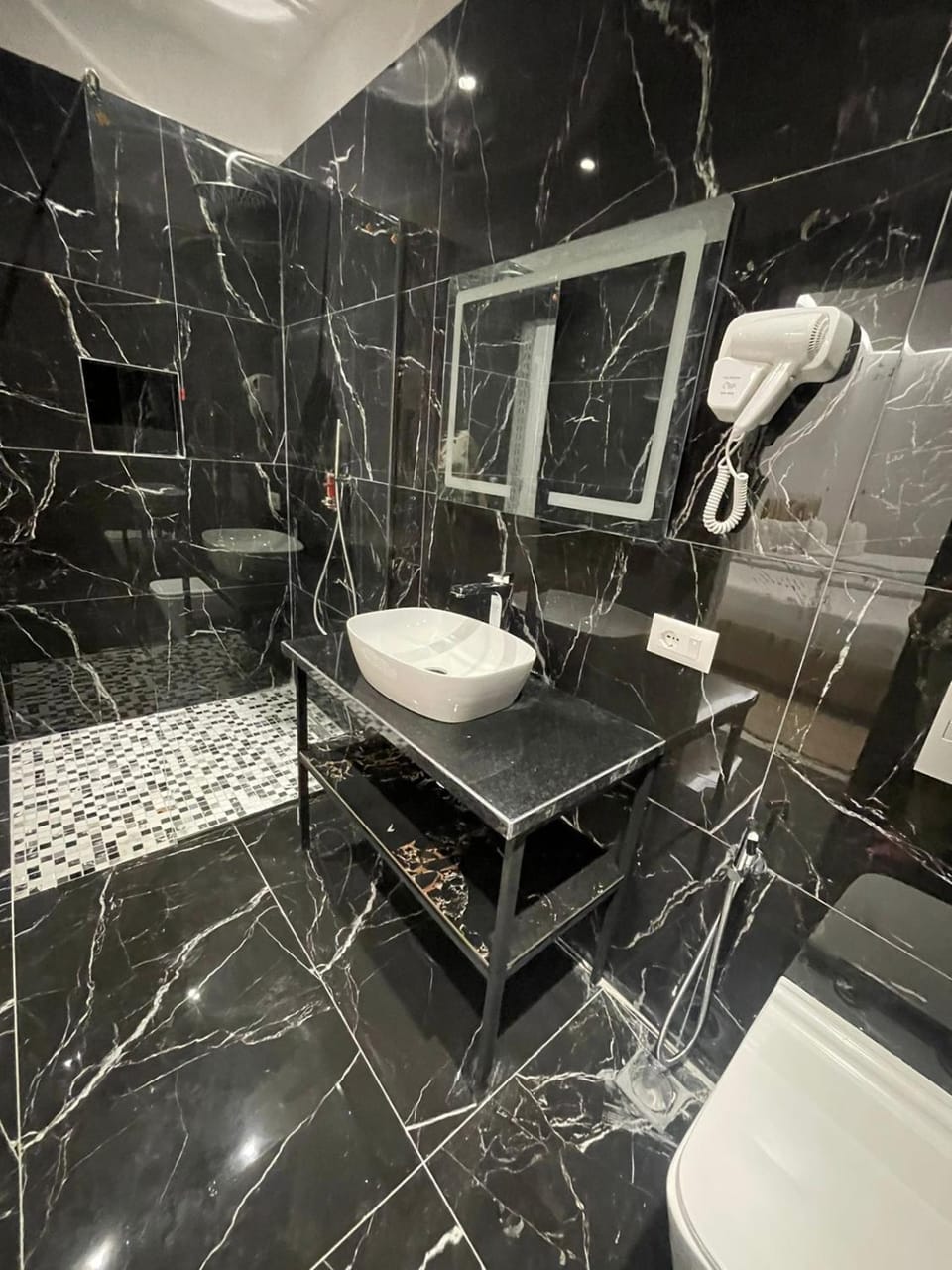 Shower, Toilet, Bathroom, hair dryier