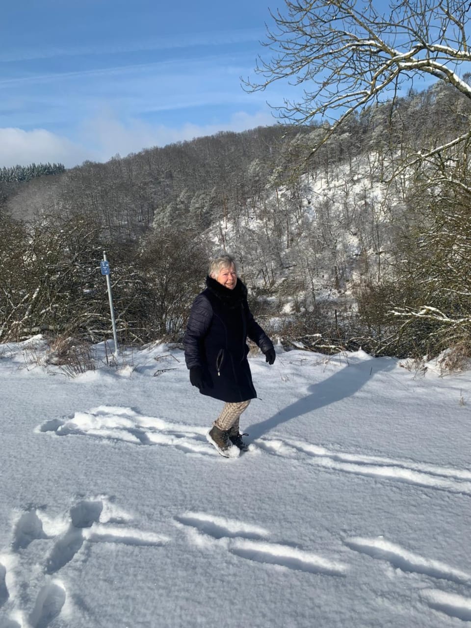 Ferienwohnungen Waldsicht und Dorfsicht Apartment in Cochem-Zell