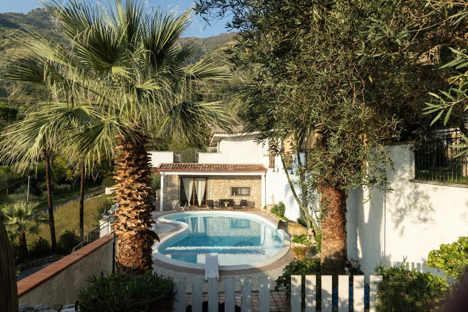 Spring, Day, Natural landscape, Summer, Garden, Garden view, Mountain view, Pool view, Swimming pool, Swimming pool, sunbed