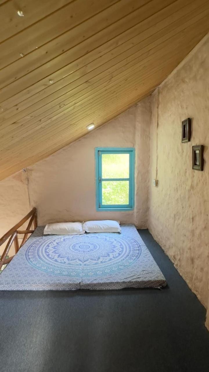 The Satvic Retreat Hotel in Manali