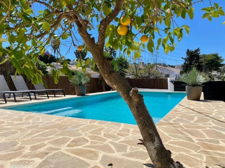 Garden, Pool view, Swimming pool, Swimming pool