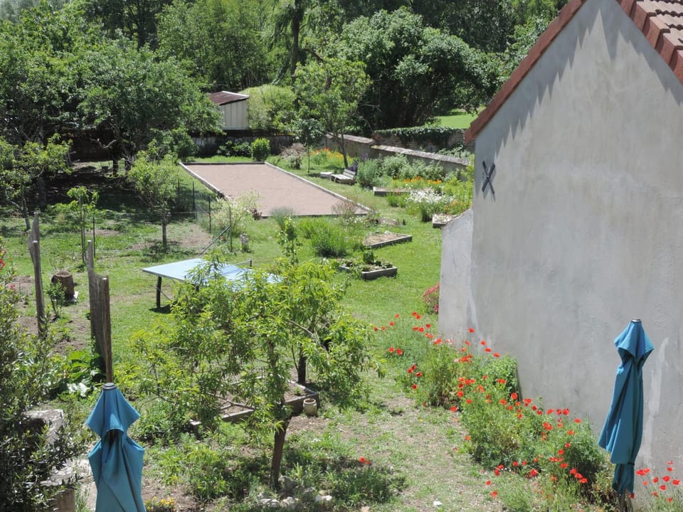 Garden view