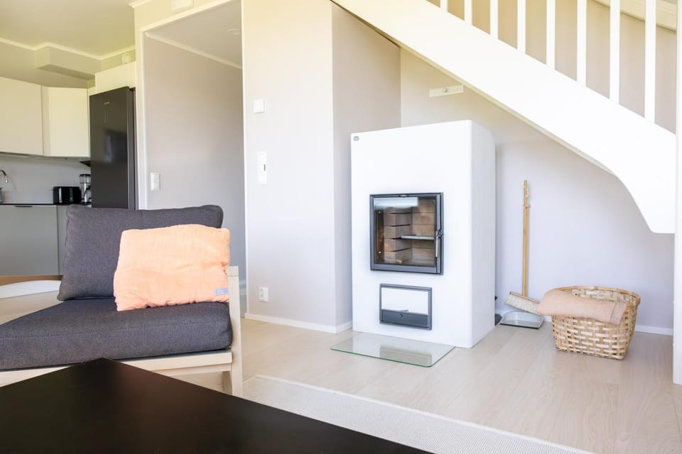 Kitchen or kitchenette, Photo of the whole room, fireplace, toaster