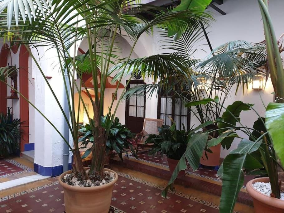Typical Andalusian House s XVII House in Sanlúcar de Barrameda