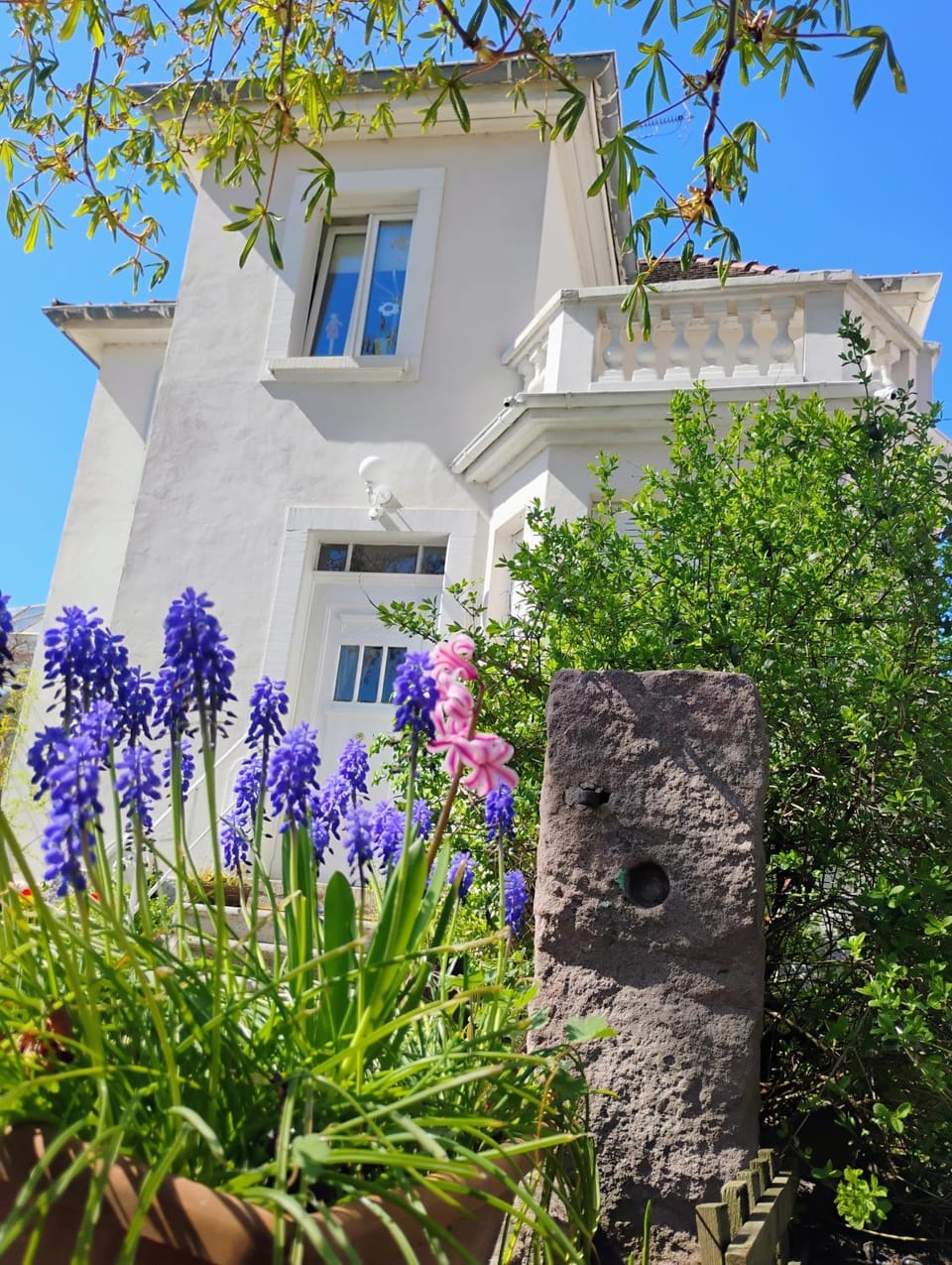 Spring, Day, Garden, Garden view