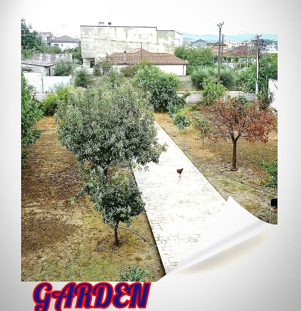 Villas Mari-Anna for rent best view Country House in Tirana County, Albania