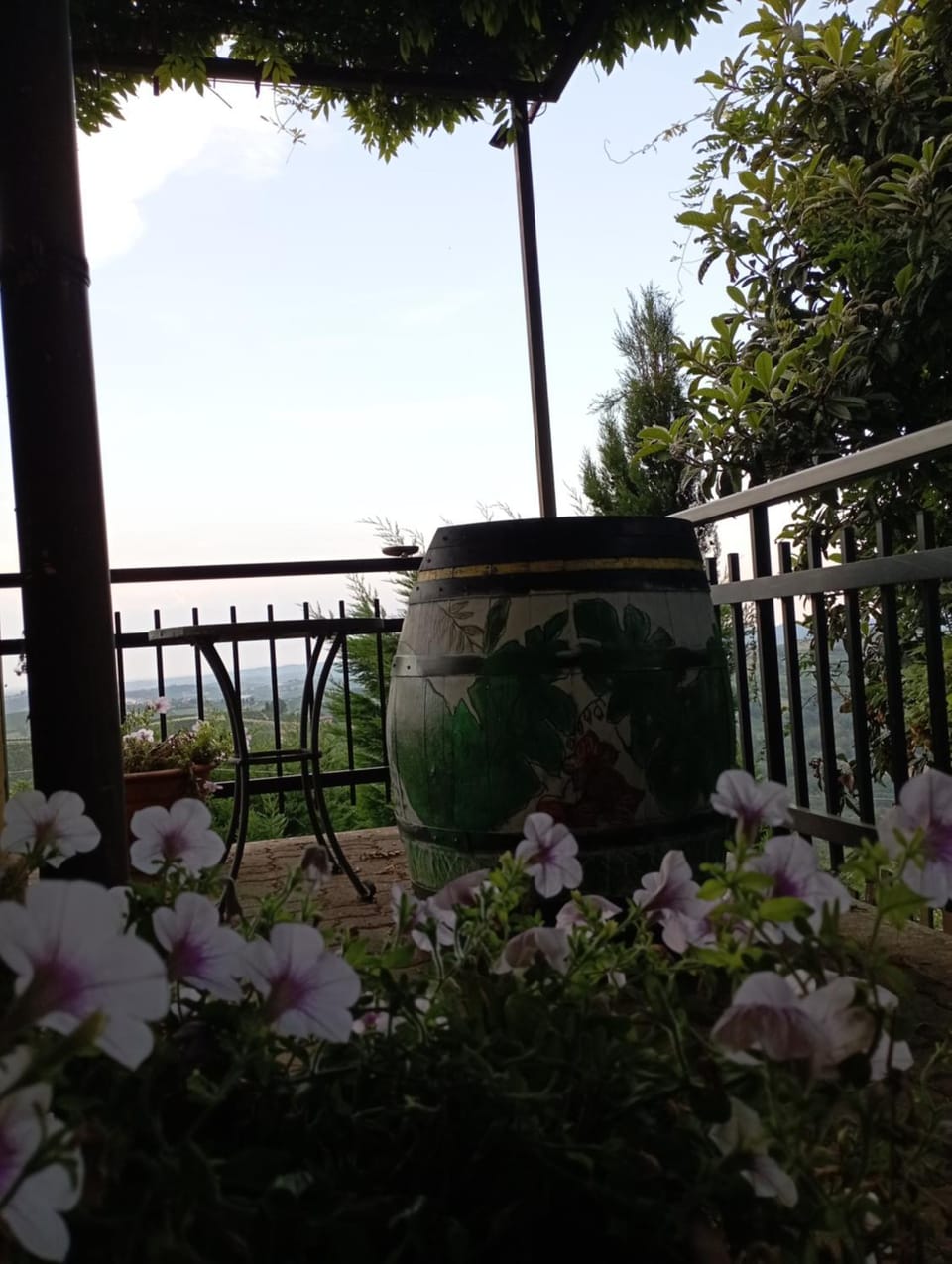 View (from property/room)