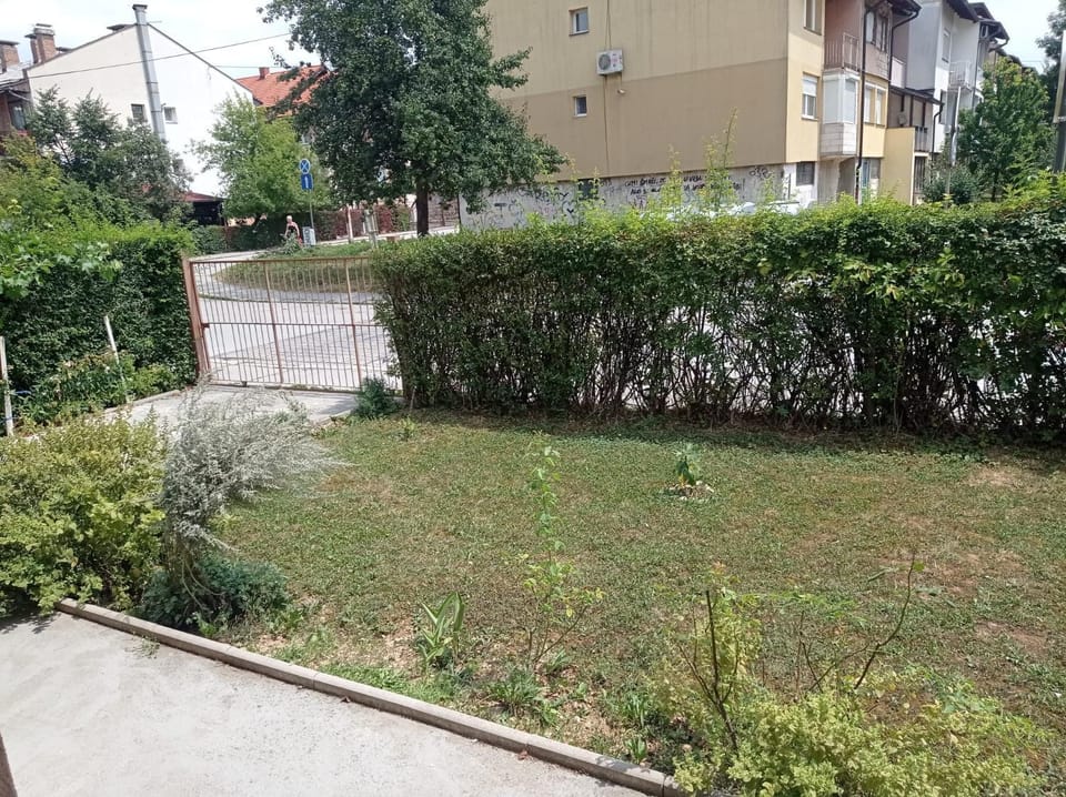 Garden, Garden view