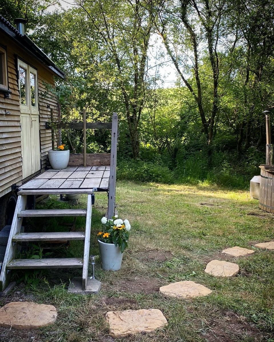 Dingle Glenn secluded woodland cabin & Hot Tub Cabin in Ashburton